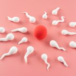 “Exploring the Impact of Sperm on Pregnancy and Fetal Health”