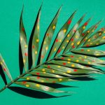 “Exploring the Side Effects, Medical Uses, and Benefits of Pinaverium”