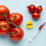 Ten Common Food Safety Blunders to Steer Clear Of