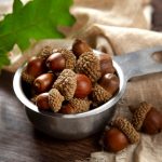 Top Picks for Amanita Muscaria Gummies